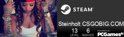 Steinholt CSGOBIG.COM Steam Signature