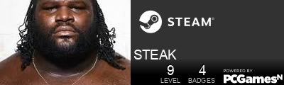 STEAK Steam Signature