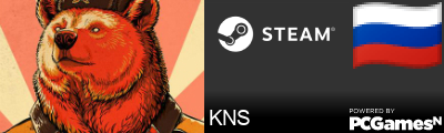 KNS Steam Signature