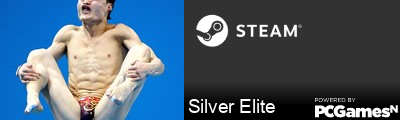 Silver Elite Steam Signature