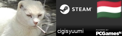 cigisyuumi Steam Signature