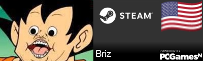 Briz Steam Signature