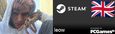 leow Steam Signature