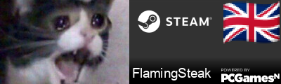 FlamingSteak Steam Signature