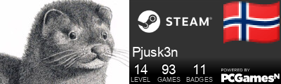 Pjusk3n Steam Signature