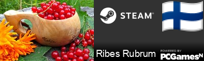 Ribes Rubrum Steam Signature