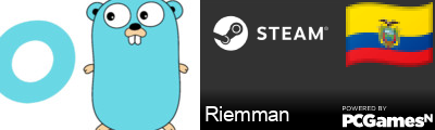 Riemman Steam Signature