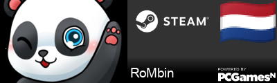 RoMbin Steam Signature