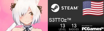 S3TTOz™ Steam Signature