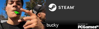 bucky Steam Signature