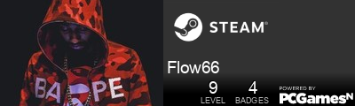 Flow66 Steam Signature