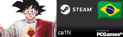 ca1N Steam Signature