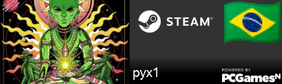 pyx1 Steam Signature