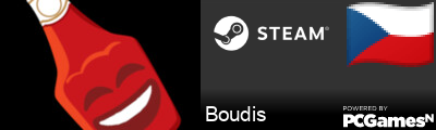 Boudis Steam Signature