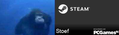 Stoef Steam Signature