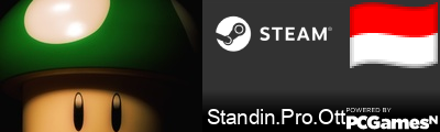 Standin.Pro.Ott Steam Signature