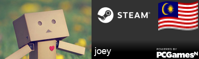 joey Steam Signature