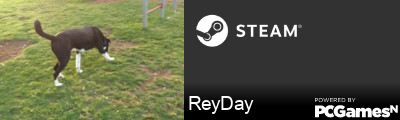 ReyDay Steam Signature