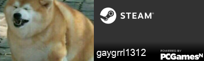 gaygrrl1312 Steam Signature
