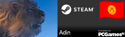 Adin Steam Signature