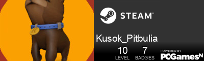 Kusok_Pitbulia Steam Signature