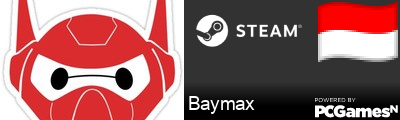 Baymax Steam Signature