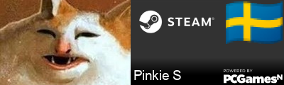Pinkie S Steam Signature