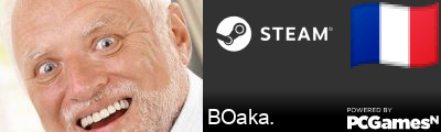 BOaka. Steam Signature