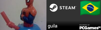 guila Steam Signature
