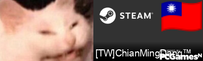 [TW]ChianMingDang™ Steam Signature