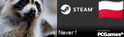 Never ! Steam Signature