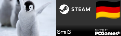 Smil3 Steam Signature