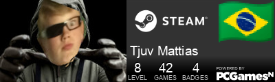Tjuv Mattias Steam Signature