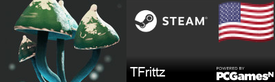TFrittz Steam Signature