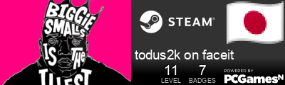 todus2k on faceit Steam Signature