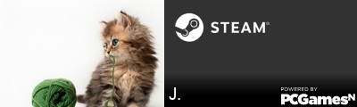 J. Steam Signature