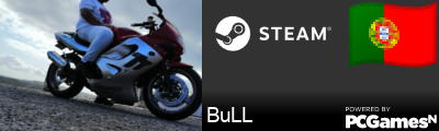 BuLL Steam Signature