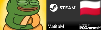 MatitaM Steam Signature