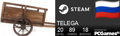 TELEGA Steam Signature