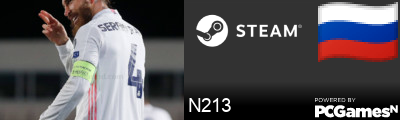 N213 Steam Signature