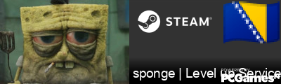 sponge | Level up Service Steam Signature