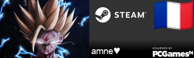 amne♥ Steam Signature