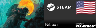 Nitsua Steam Signature