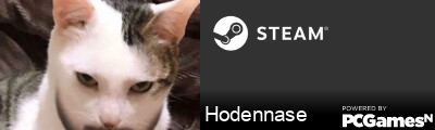Hodennase Steam Signature