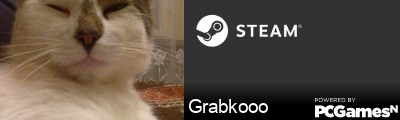 Grabkooo Steam Signature