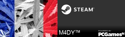 M4DY™ Steam Signature