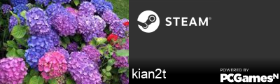 kian2t Steam Signature