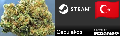 Cebulakos Steam Signature