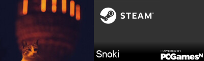 Snoki Steam Signature