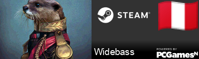 Widebass Steam Signature